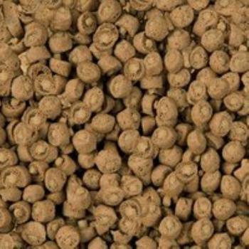 Preview: sera TURTLE Adult Carnivore Duo Pellets 10L (3,4kg)