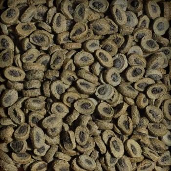 Preview: sera Tortoise Adult Herbivore Duo Pellets 10 Liter (3,2kg)