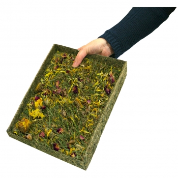 Kräuterwiese mit Blüten 550g (JR FARM)