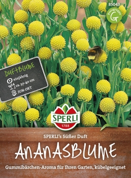 Ananasblumen SPERLI's Süßer Duft  - Cephalophora aromatica