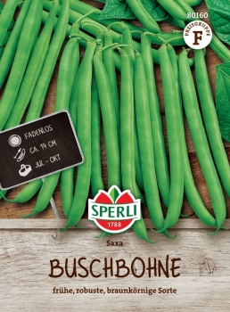 Buschbohnensamen Saxa - Phaseolus vulgaris