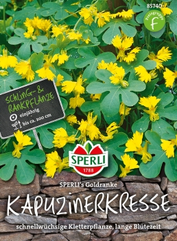 Kapuzinerkresse SPERLI's Goldranke - Tropaeolum majus L.