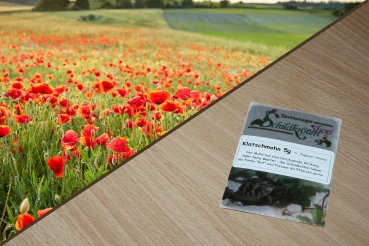Klatschmohn 2g  (Papaver rhoeas)