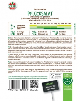 Salatsamen Mischung aus 3 Sorten
