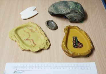 Einrichtungsset für Junge Landschildkröten