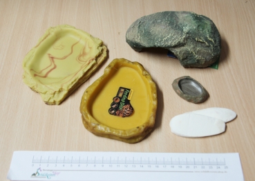 Einrichtungsset für Junge Landschildkröten