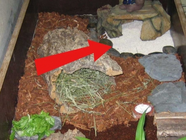 Terrano Kalzium Bodengrund 5 kg (natur)