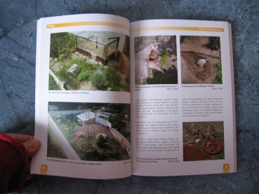 Griechische Landschildkröten - Pflege und Vermehrung