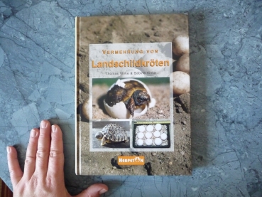 Vermehrung von Landschildkröten T. Vinke & S. Vinke