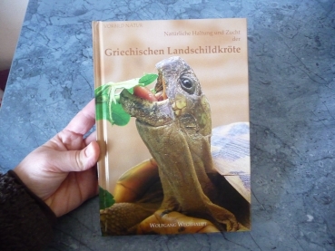 Vorbild Natur, Natürliche Haltung und Zucht der Griechischen Landschildkröte, Wolfgang Wegehaupt