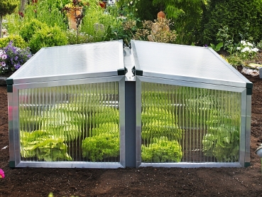 Frühbeet Typ Allgäu Modell 4 Größe 2 123 x 136 cm Polycarbonat