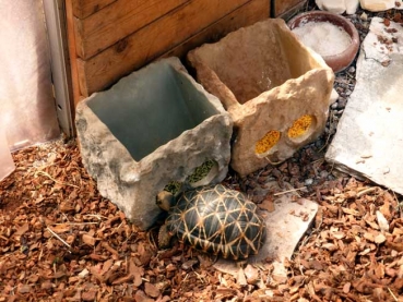 Schildkrötenraufe Granite Rock 20x17x15cm
