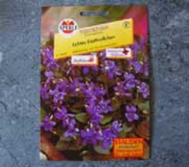 Echtes Duftveilchen (Viola odorata) Saatgut