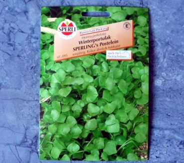 Winterportulak Sperling´s Postelein - Montia perfoliata