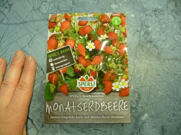 Monatserdbeere SPERLING's Bowlenzauber