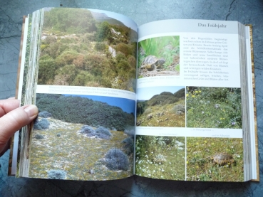 Vorbild Natur, Europäische Schildkröten,  Lebensraum und -weise, Wolfgang Wegehaupt