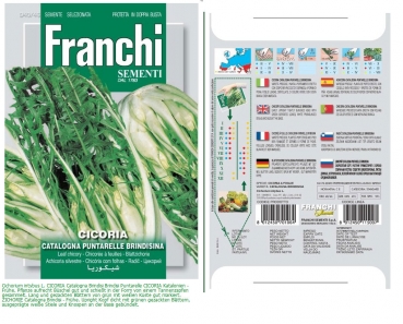 D40/46 Franchi Sementi - CICORIA Puntarelle Brindisina 12g