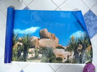 Rückwand "Wüstenlandschaft / Madagaskar" (150cm, Höhe 60cm)