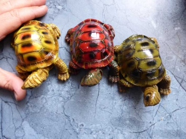 Indra Colour Tortoise Deko Landschildkröte