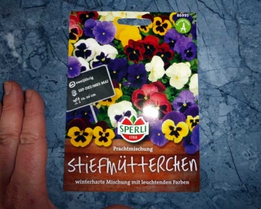 Stiefmütterchen Prachtmischung - Viola wittrockiana