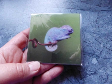 Magnetic Chameleon Loneliness - Gruppe M - Chameleon 3D