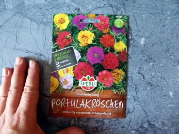 Portulakröschen Prachtmischung - Portulaca grandiflora Hook.