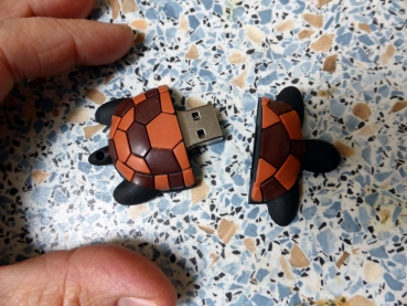 Landschildkroeten USB Stick mit 8 GB RESTPOSTEN