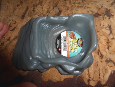 Repti Ramp Bowl SM Trinkschale für Baby Schildkröten Zoomed