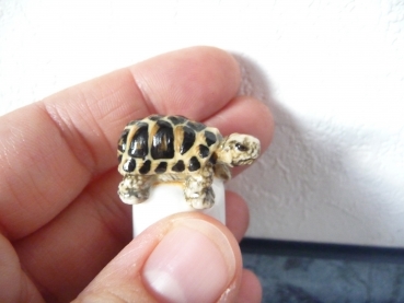 G  kleine Schildkröte die Figur Metall-Messing Mini Miniatur den 3 х2 Zentimeter 