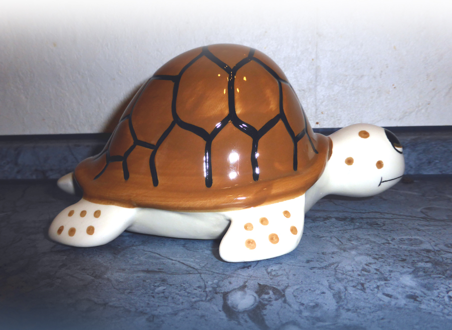 Terratuga Schildkrötenshop - TURTLE BANK Spardose Schildkrötenspardose
