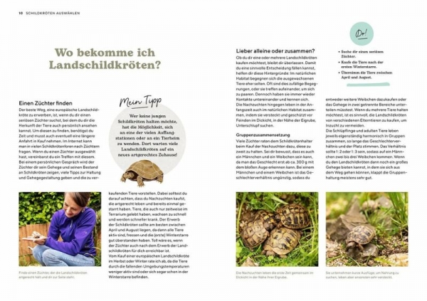 Landschildkröten, so geht es deinen Tieren gut, mit den wichtigsten Dos & Don'ts