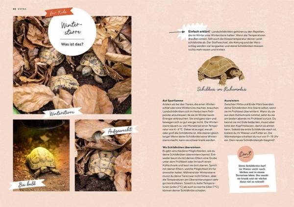 Landschildkröten, so geht es deinen Tieren gut, mit den wichtigsten Dos & Don'ts