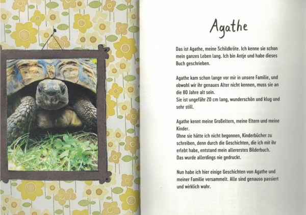 Agathe, Papas Schildkröte und ich - Antje Damm