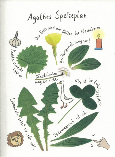 Agathe, Papas Schildkröte und ich - Antje Damm