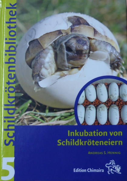 Inkubation von Schildkröteneiern Schildkrötenbibliothek 5