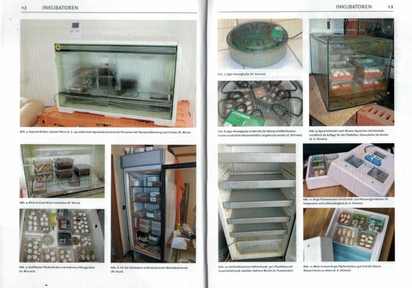 Inkubation von Schildkröteneiern Schildkrötenbibliothek 5