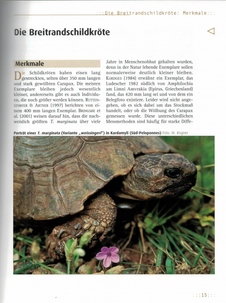 Die Breitrandschildkröte (Testudo marginata) Manfred Rogner