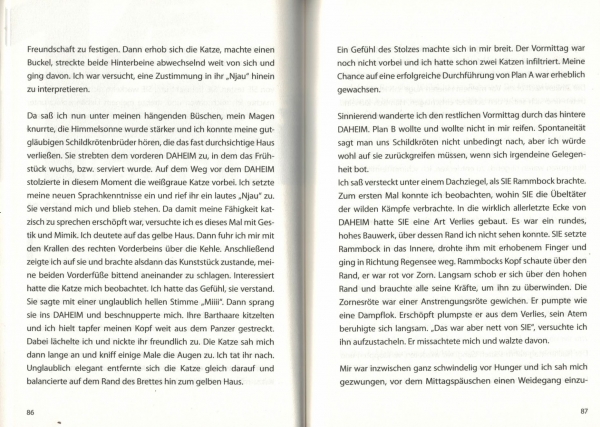 Buchstaben Tiere. Ein Schildkröten Krimi von Rita Klein