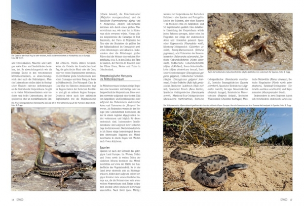 DRACO 42 - Mittelmeer - Reptilien und Amphibien Südeuropas