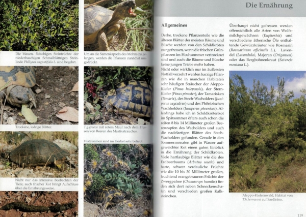 Vorbild Natur, Europäische Schildkröten,  Lebensraum und -weise, Wolfgang Wegehaupt