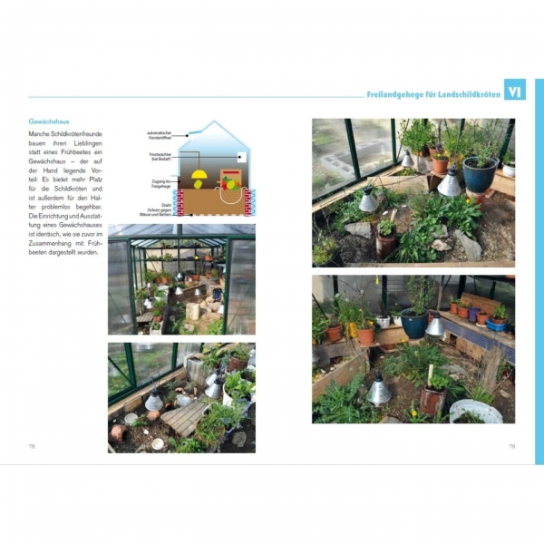 Fester Panzer - weiches Herz (3.Auflage)