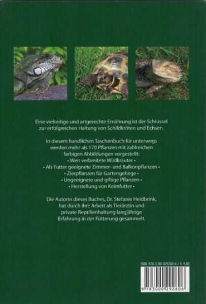 Futterpflanzen für Schildkröten und Echsen