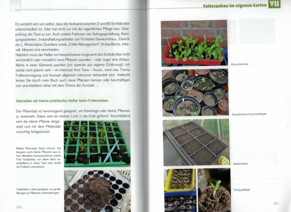 Der Schildkröten-Gärtner - Naturnahe Ernährung Europäischer Landschildkröten
