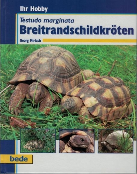 Ihr Hobby Breitrandschildkröten (Georg Mirlach)