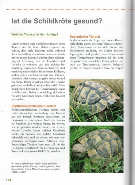 Die Griechische Landschildkröte Ines Kosin