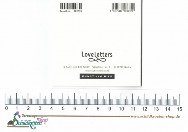 Turnowsky-Kunstdruck Mini Grußkarte Happy Birthday Schildkröte