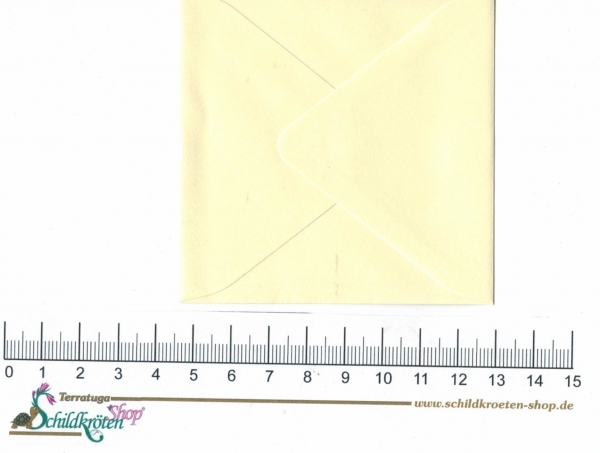 Turnowsky-Kunstdruck Mini Grußkarte Happy Birthday Schildkröte