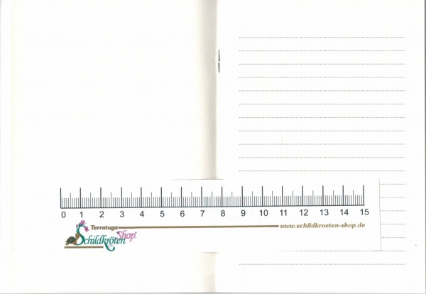 Turnowsky-Kunstdruck Notizbuch - Fröhliche Schildkröte