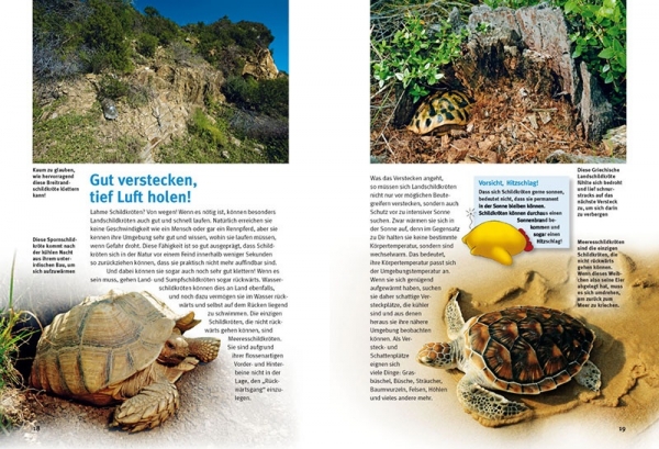 Entdecke die Schildkröten Kinderbuch - Hans-Dieter Philippen