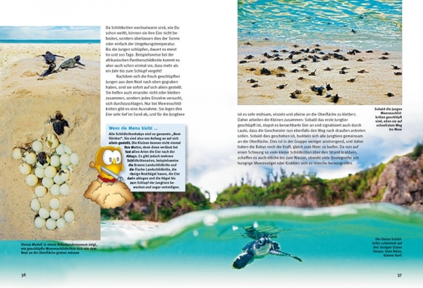 Entdecke die Schildkröten Kinderbuch - Hans-Dieter Philippen